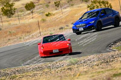 media/Mar-22-2025-West Coast Racing (Sat) [[0d49b412c8]]/Green Group/Session 3 (Turns 5 and 6)/